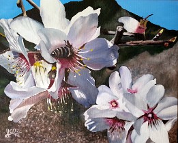 Almendros en flor I Oleo sobre lienzo (41x33 cm.) (Septiembre de 2014) (Colección privada) Donación Museo del Pescador (Puerto de Santiago-Santiago del Teide)