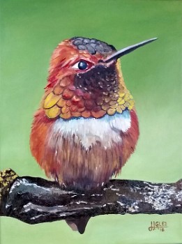Colibrí abeja Oleo sobre lienzo (40x30 cm.) (junio de 2016)