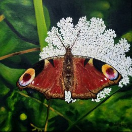 La mariposa I Oleo sobre lienzo (40x40 cm.) (abril de 2015)