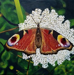 La mariposa II Oleo sobre lienzo (40x40 cm.) (abril de 2015) (Colección privada)
