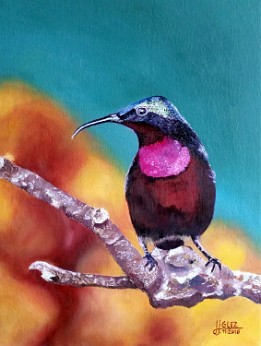 Colibrí Oleo sobre lienzo (40x30 cm.) (noviembre de 2016)