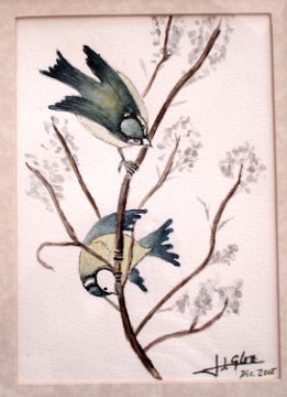 Pajaritos Acuarela (diciembre de 2005)