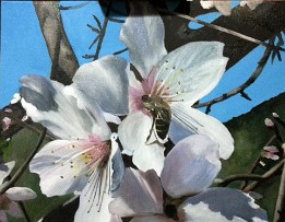 2014-11-23 21.12.39-2 02