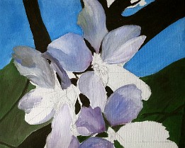 20140826_173209-1 Dibujo y primera mancha