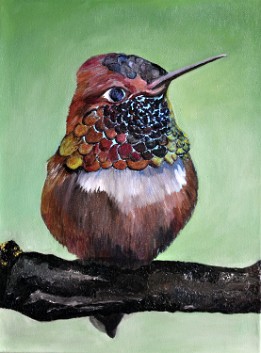 CSC_0002.JPG-1 Primera mancha