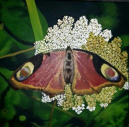 2015-02-12 22.03.10-2 01