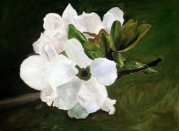 2015-03-21 20.16.15 Primera mancha