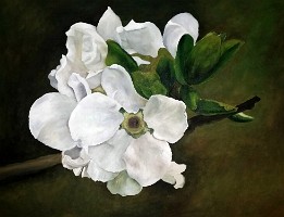 2015-03-26 20.19.09 02