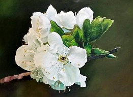 2015-09-30 20.39.08 03