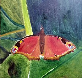 2014-03-06 14.39.07 Dibujo y primera mancha