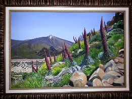 29. TAJINASTES EN EL TEIDE Tajinastes en el Teide